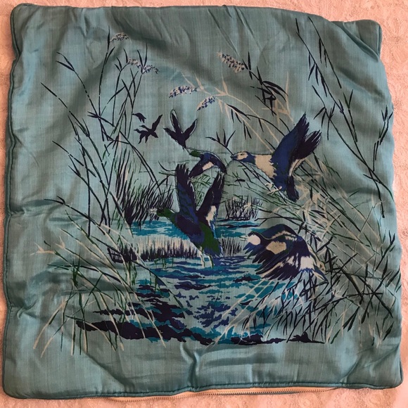 Accents Silk Throw Pillows From Singapore Down Inserts Poshmark